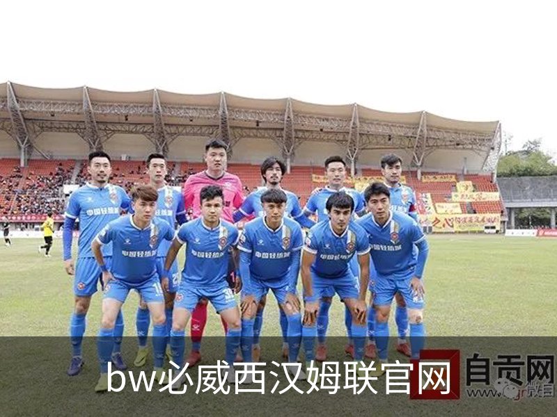 关于bw必威西汉姆联官网